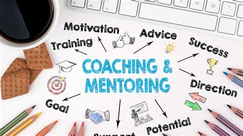 Professional Mentorship and Coaching